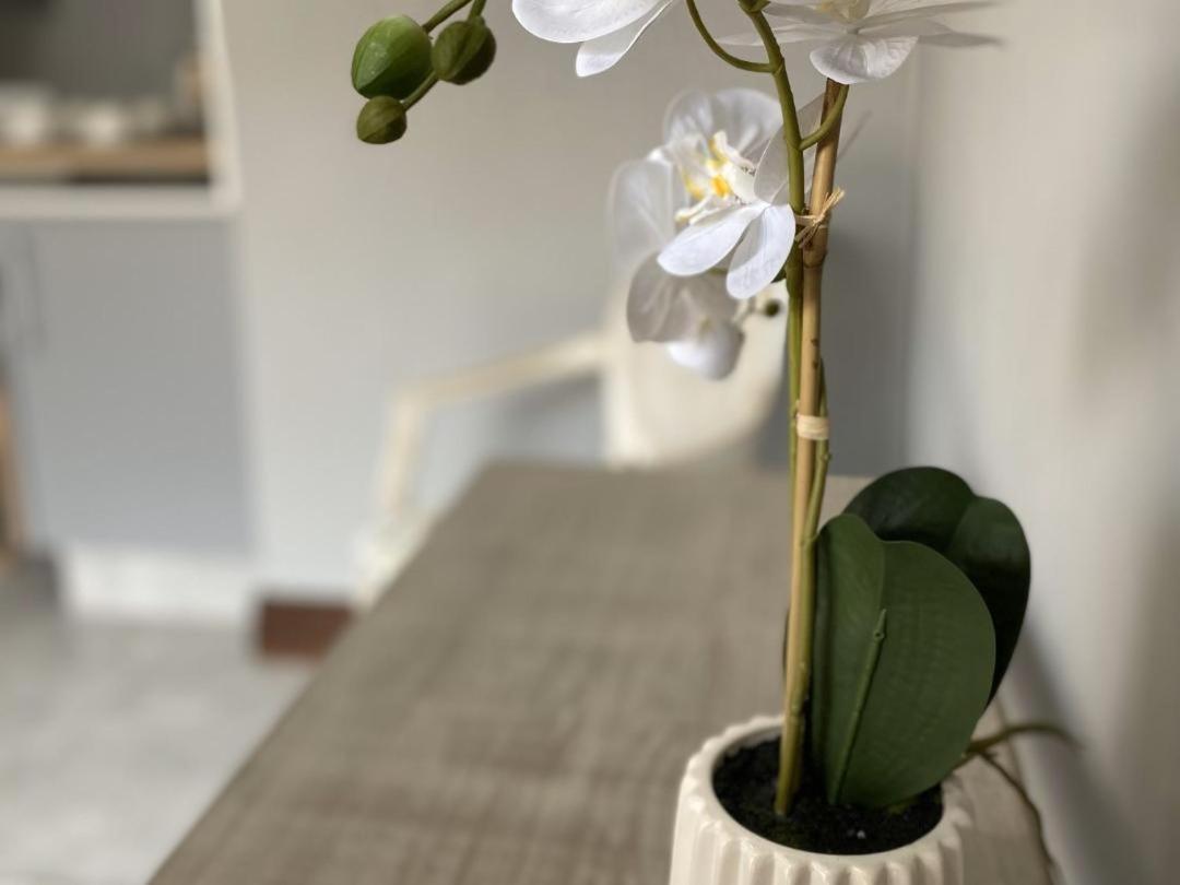 Staysure Guesthouse Alberton Ngoại thất bức ảnh